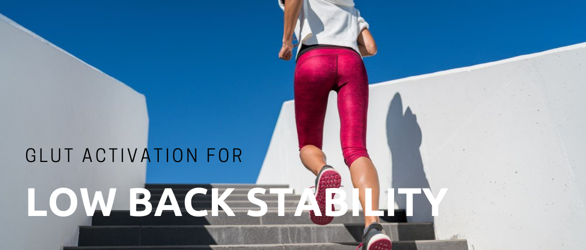 Glut Activation for Low Back Stability